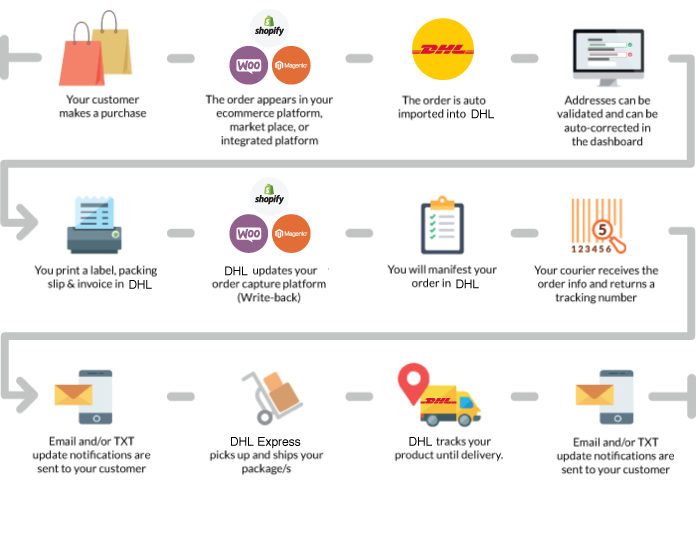DHL_infographic_update__1_.png